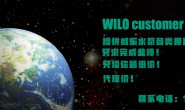 威乐水泵售后:水泵轴承维护:延长轴承寿命的实用技巧